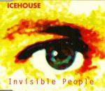 Icehouse : Invisible People